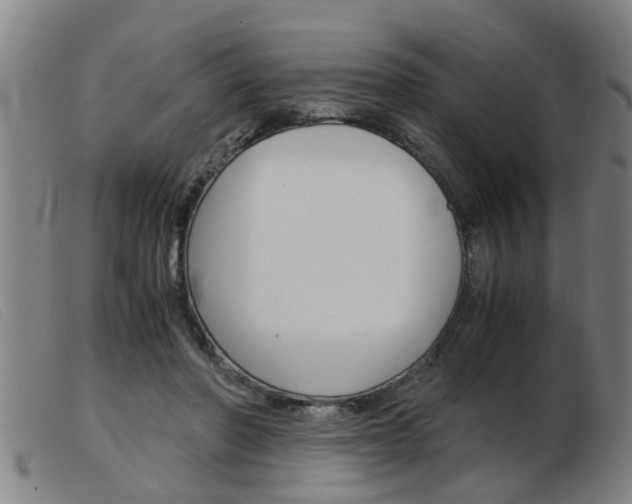 X0000103960406200809191339