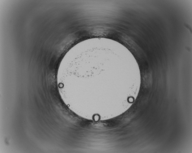 X0000103960407200809191339