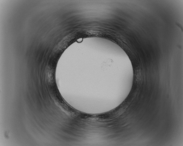 X0000103960408200809191339