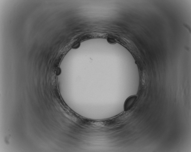 X0000103960409200809191339