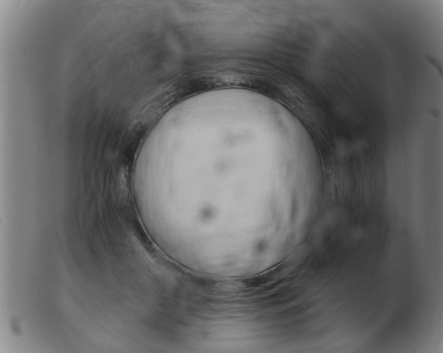 X0000103960410200809191339