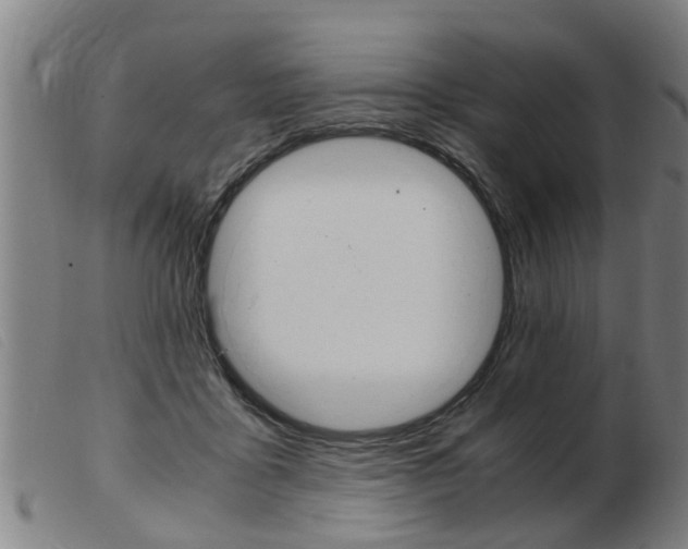 X0000103960411200809191339