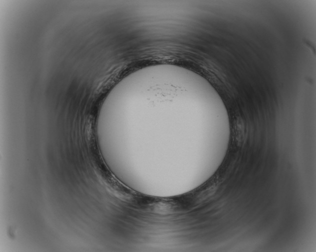 X0000103960412200809191339