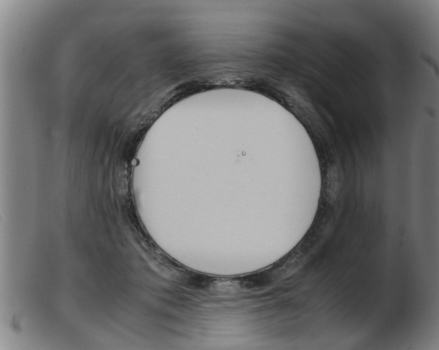 X0000103960413200809191339