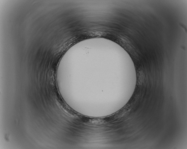 X0000103960414200809191339