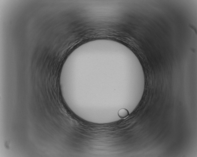 X0000103960415200809191339