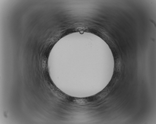 X0000103960417200809191339