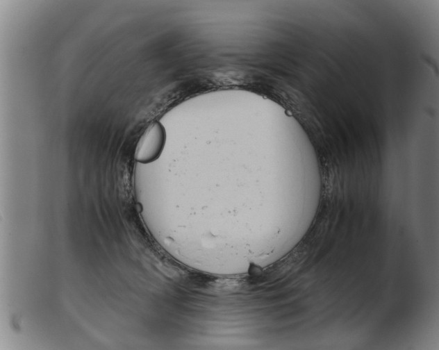 X0000103960418200809191339
