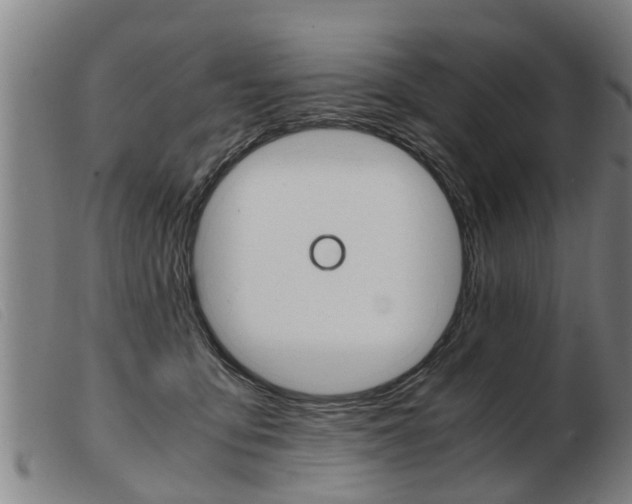 X0000103960419200809191339