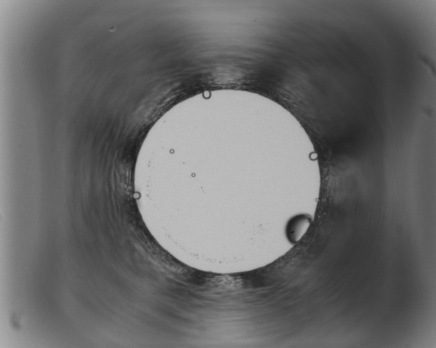 X0000103960421200809191339