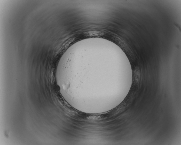 X0000103960422200809191339