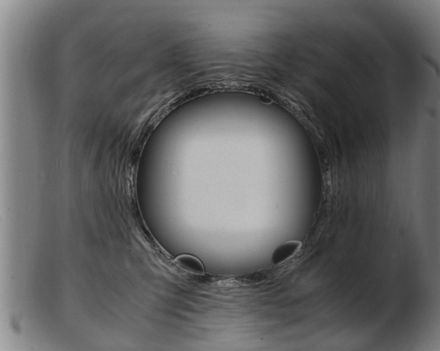 X0000103960423200809191339