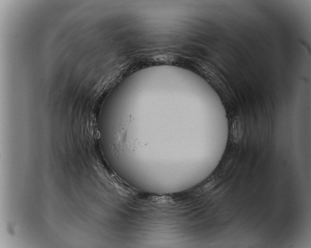 X0000103960424200809191339
