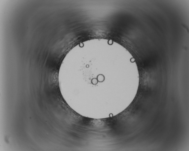 X0000103960425200809191339