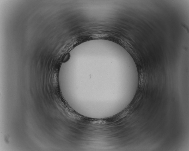 X0000103960426200809191339