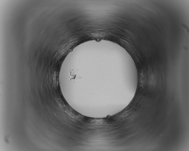 X0000103960428200809191339