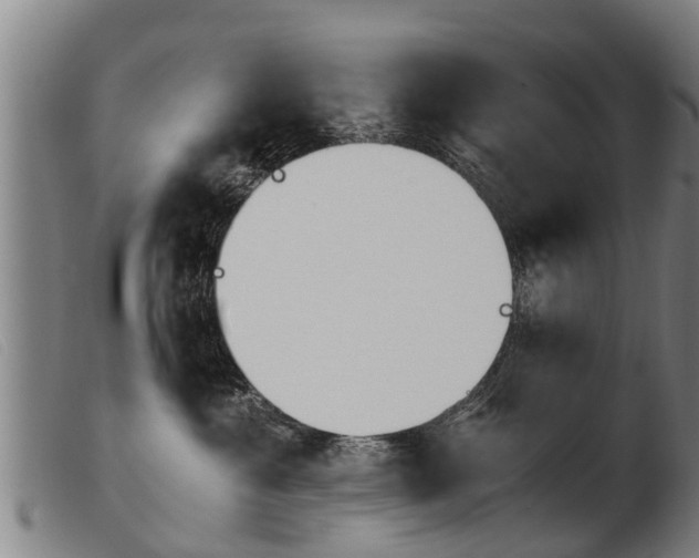 X0000103960429200809191339