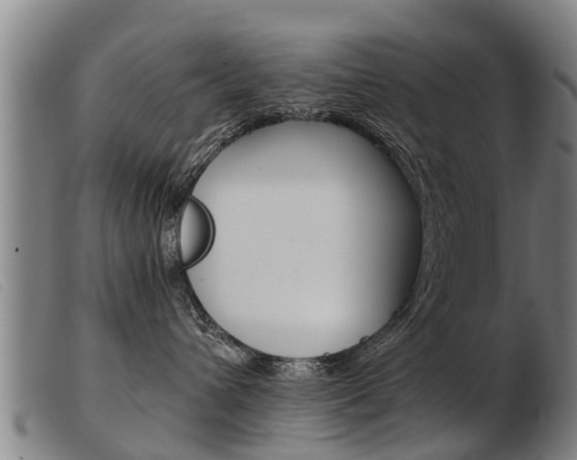 X0000103960432200809191339