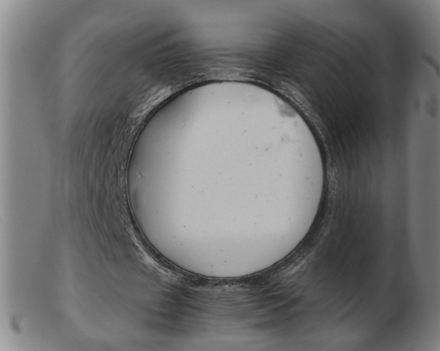 X0000103960433200809191338