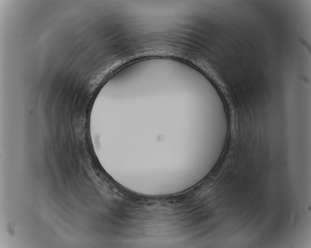 X0000103960434200809191338