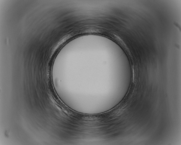 X0000103960435200809191338