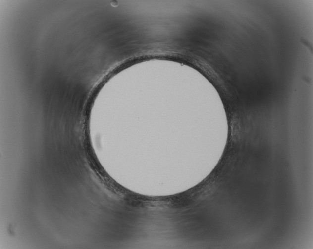 X0000103960436200809191338