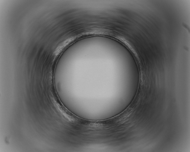 X0000103960437200809191338
