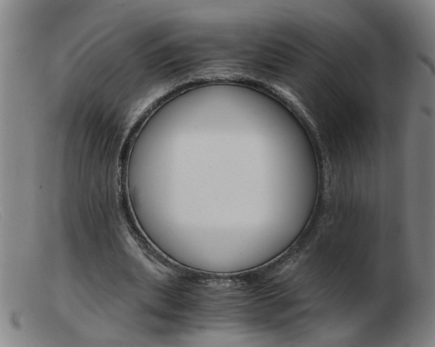 X0000103960439200809191338