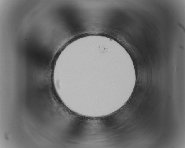 X0000103960440200809191338