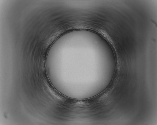 X0000103960441200809191338