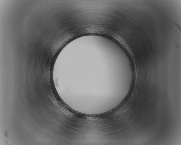 X0000103960442200809191338