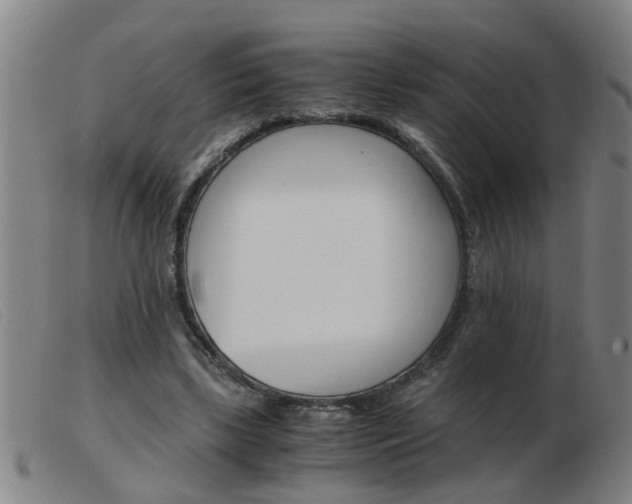 X0000103960443200809191338