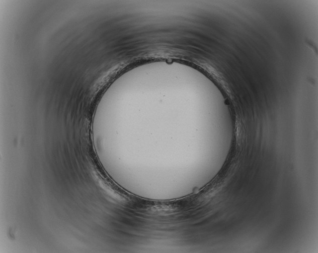 X0000103960445200809191338