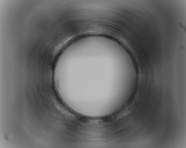 X0000103960446200809191338