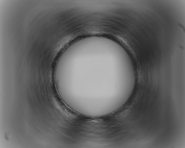 X0000103960447200809191338