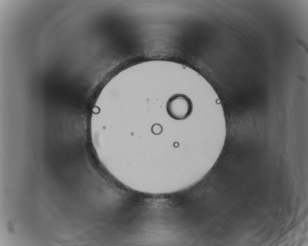 X0000103960448200809191338