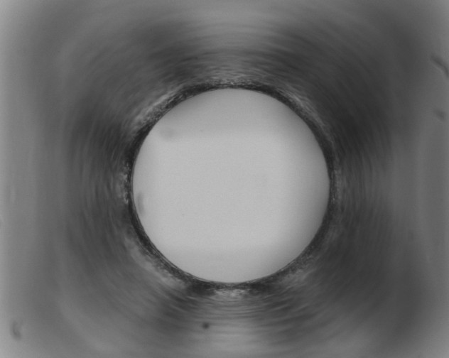 X0000103960450200809191338