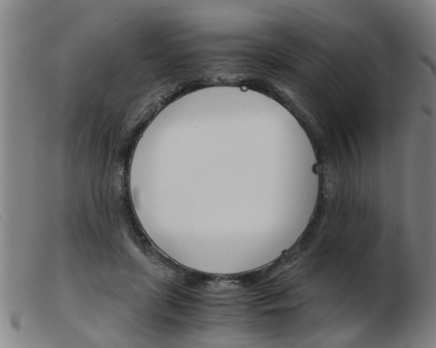 X0000103960451200809191338
