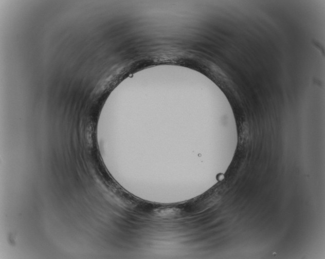 X0000103960452200809191338