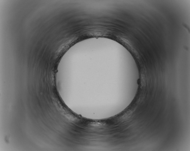 X0000103960453200809191338