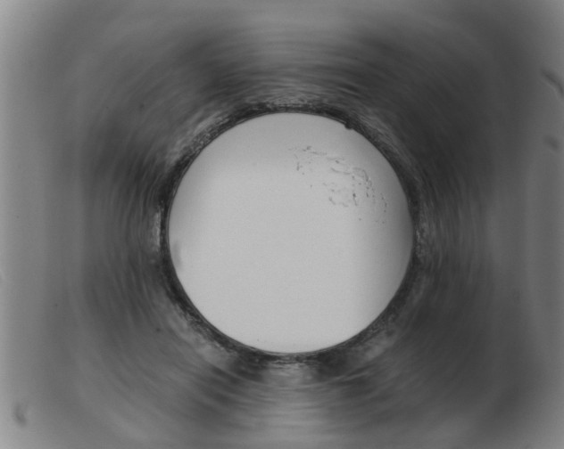X0000103960454200809191338