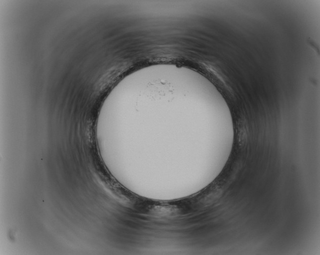 X0000103960455200809191338
