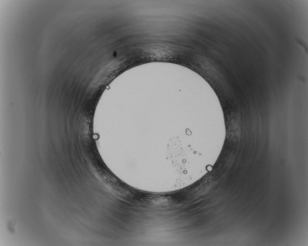 X0000103960456200809191338