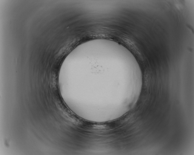 X0000103960457200809191338