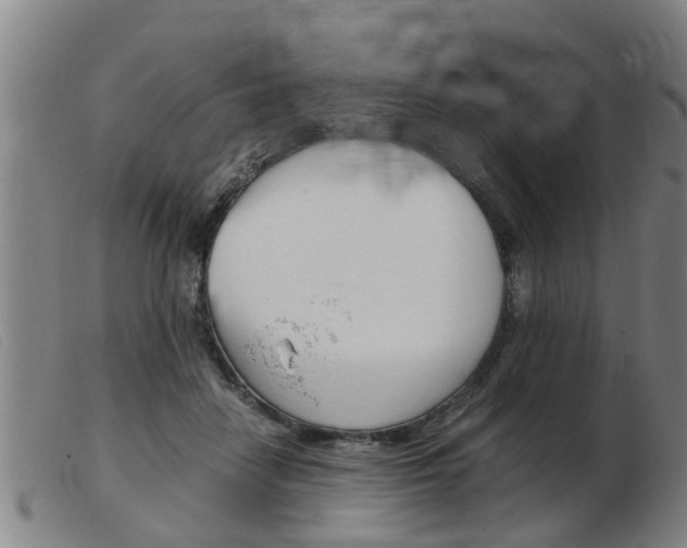X0000103960458200809191338