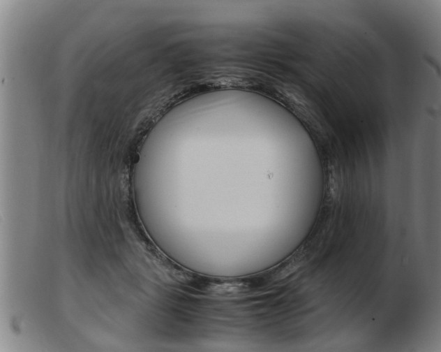X0000103960461200809191338