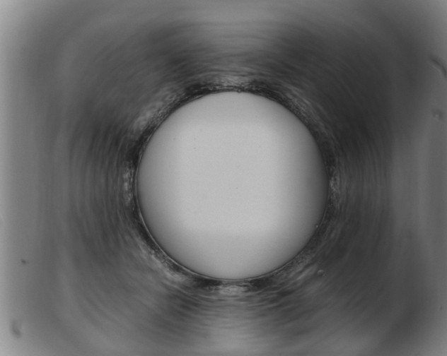 X0000103960462200809191338