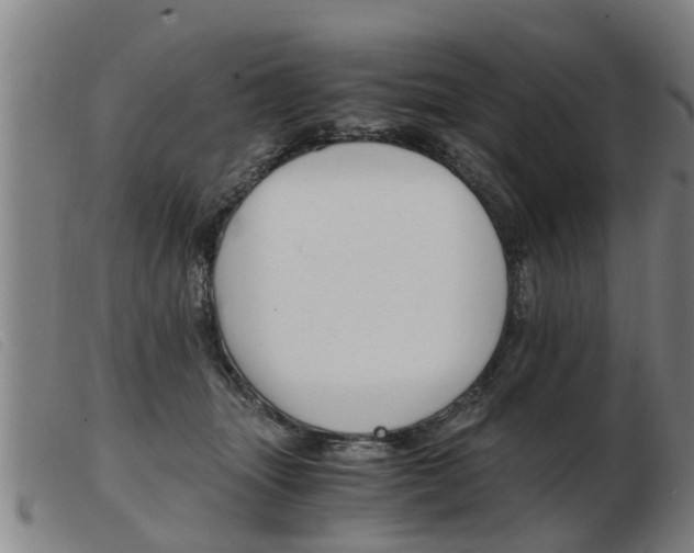 X0000103960463200809191338