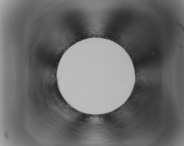 X0000103960464200809191338