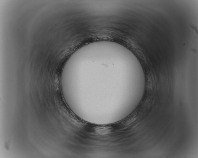 X0000103960465200809191338